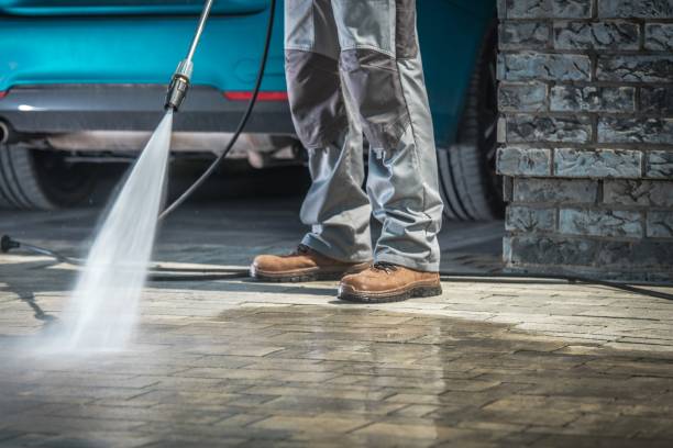 Best Soft Washing  in Savannah, TN