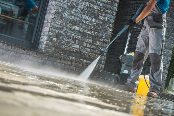 Best Patio and Deck Pressure Washing  in Savannah, TN